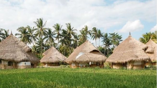 Keren Abis! Penginapan Ini Usung Konsep Ramah Lingkungan, Bisa Minum dari Air Hujan