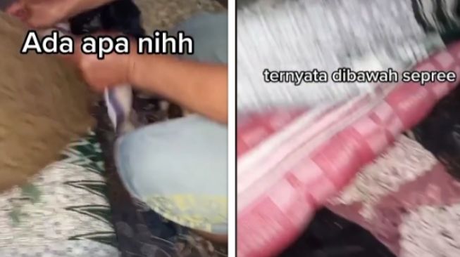 Wanita temukan sesuatu bergerak di bawah seprai saat akan tidur (tiktok)