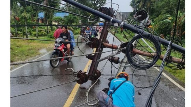 Pohon Tumbang Sebabkan Jaringan Lisrrik Rusak di Gunungsitoli