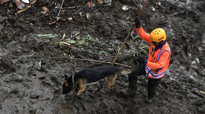 Tim SAR menggunakan anjing pelacak untuk mencari korban di antara reruntuhan rumah dan endapan lumpur akibat banjir bandang di Bulukerto, Kota Batu, Jawa Timur, Jumat (5/11/2021). ANTARA FOTO/Zabur Karuru