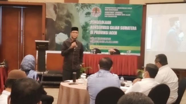 Penanganan Konflik Gajah di Aceh Perlu Gunakan Kearifan Lokal