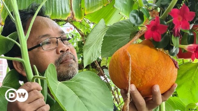 Talas Bogor, Jawer Kotok, Kemangi dan Waluh di Balkon Jerman