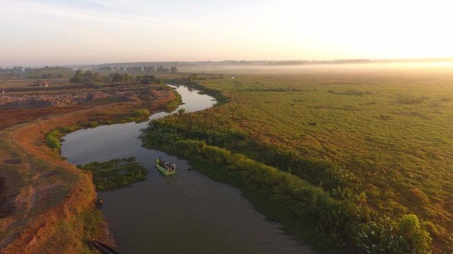 Menengok Keindahan Ekowisata di Lampung Timur, Susuri Sungai Lihat Hamparan Padang Savana