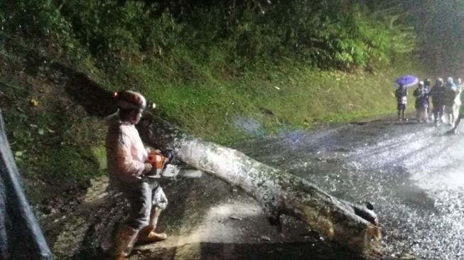 Pohon Tumbang, Akses Jalan Penghubung Cianjur Selatan Macet Panjang