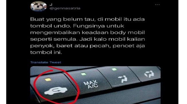 Netizen perkenalkan tombol undo pada mobil (Twitter)