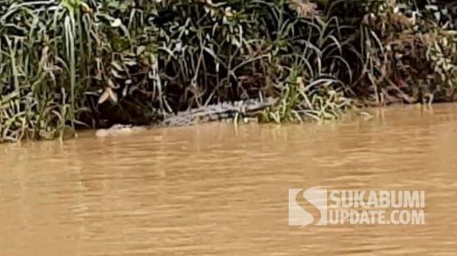 Tim medis dari Puskesmas Cibitung saat melewati Sungai Cikaso, Sukabumi, Senin (8/11/2021). Di tengah perjalanan, tim tersebut menyaksikan ada tiga ekor buaya tengah berjemur. [Sukabumiupdate.com/Istimewa]