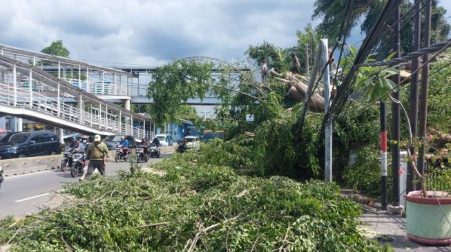 Pohon Beringin di Otista Tumbang, Belasan Motor, JPO hingga Halte TransJakarta Rusak