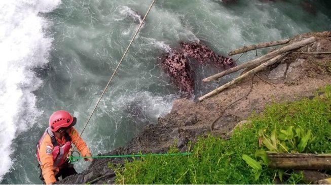 Warga Kebumen Diduga Tenggelam Saat Mencari Lobster, Basarnas Lakukan Pencarian Hari ke-3