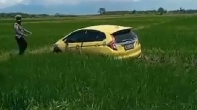 Viral Honda Jazz masuk areal persawahan bikin geger warga (Instagram)