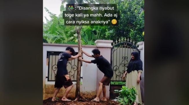 Ibu minta bantuan anak untuk membuat taman mini di halaman rumah (tiktok)