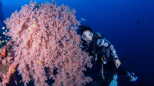 Momen Gisella Anastasia Menyelam di Bali. [Instagram/gisel_la]