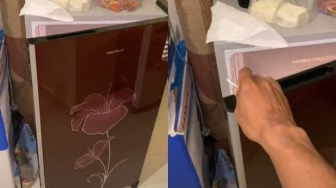 Viral Cowok Syok Pas Buka Kulkas, Isinya Kucing-kucing Sedang Asyik Beginian