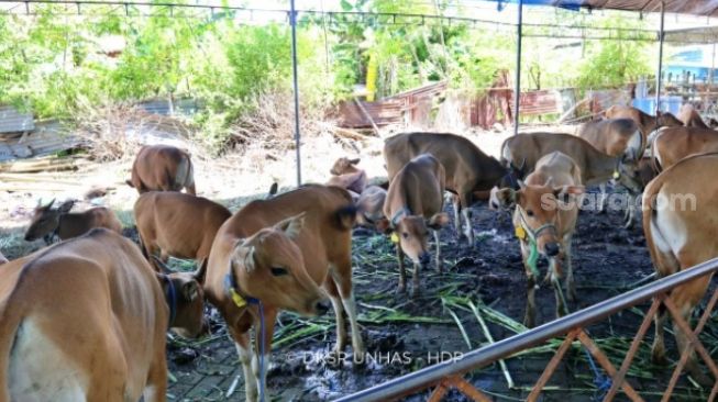 Seperti Rumah Mewah, Kandang Sapi Ini Bikin Warganet Melongo