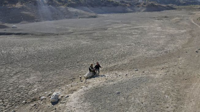 Gembala Suriah duduk di bendungan Doueisat (Duwaysat) yang hampir kering di luar kota al-Diriyah, Provinsi Idlib, Suriah, pada (9/11/2021). [ABDULAZIZ KETAZ / AFP]