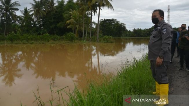 Banjir Jember Diduga Akibat Alih Fungsi Lahan