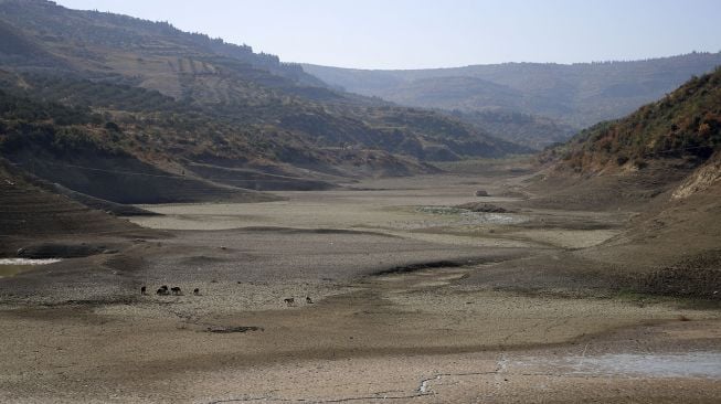 Kekeringan di sekitar bendungan Doueisat (Duwaysat) di luar kota al-Diriyah, Provinsi Idlib, Suriah, pada (9/11/2021). [ABDULAZIZ KETAZ / AFP]