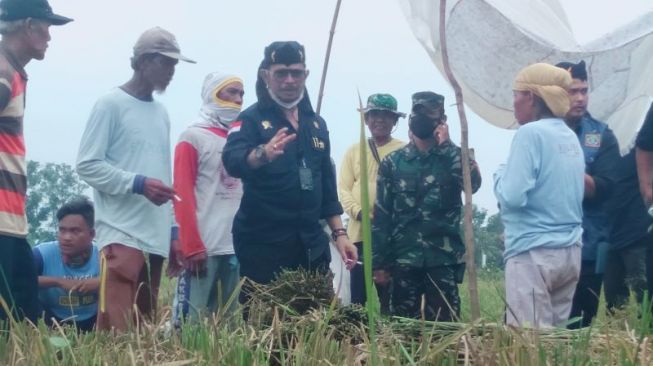 Antisipasi Cuaca Ekstrem, Mentan Minta Petani di Karawang Lakukan Ini