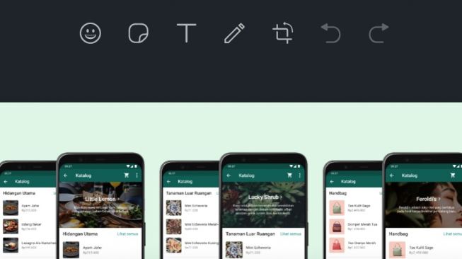 Fitur baru WhatsApp, tombol web media editor. [WhatsApp Indonesia]