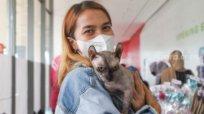 Pengunjung menunjukkan kucing jenis Sphynx dalam acara Catfest di Senayan Park, Jakarta Pusat, Minggu (14/11/2021). [Suara.com/Alfian Winanto]