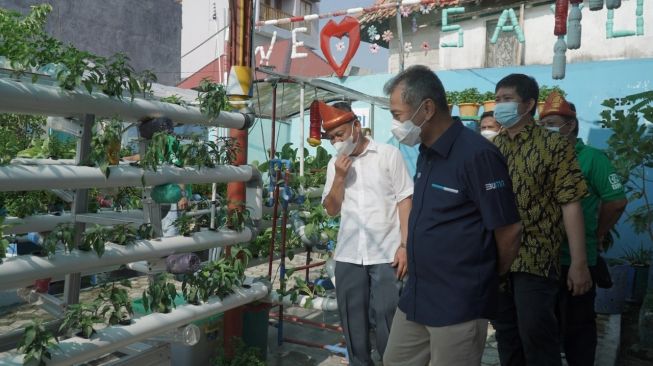 Dibantu BRI, Rudi Sukses Jadi Pahlawan Kampung Sayur Cempako