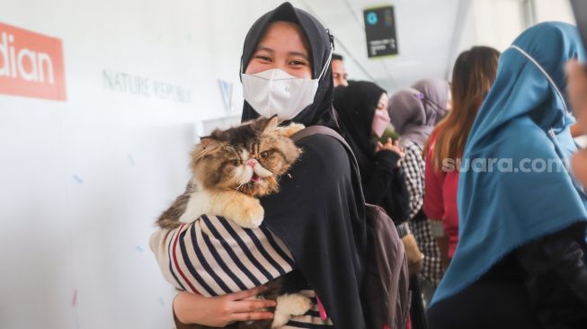 Pengunjung menunjukkan kucing peliharaannya dalam acara Catfest di Senayan Park, Jakarta Pusat, Minggu (14/11/2021). [Suara.com/Alfian Winanto]