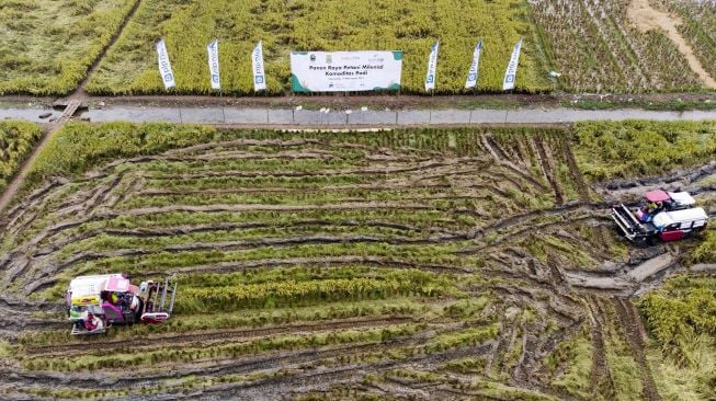 Petani mengoperasikan mesin pemotong padi saat panen raya petani milenial di areal persawahan Desa Gembongan, Banyusari, Karawang, Jawa Barat, Senin (15/11/2021). ANTARA FOTO/M Ibnu Chazar
