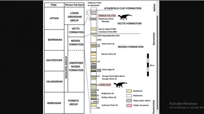 Spesies baru dinosaurus berhidung besar, Brightstoneous simmondsi. [Journal of Systematic Palaeontology]