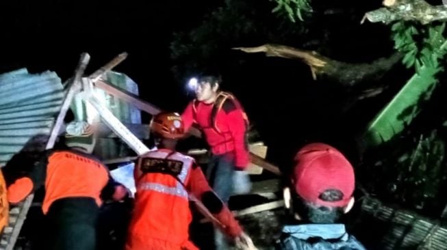 Ya Allah! Maunya Berteduh, 3 Orang Malah Tewas Tertimpa Pohon Gede Saat Hujan di Mojokerto