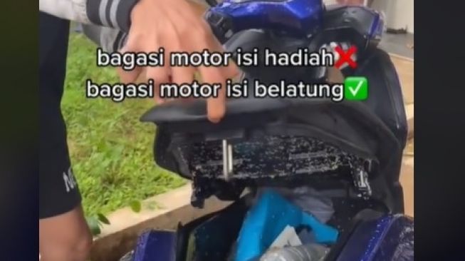 Viral Bagasi Motor Penuh Belatung (TikTok)