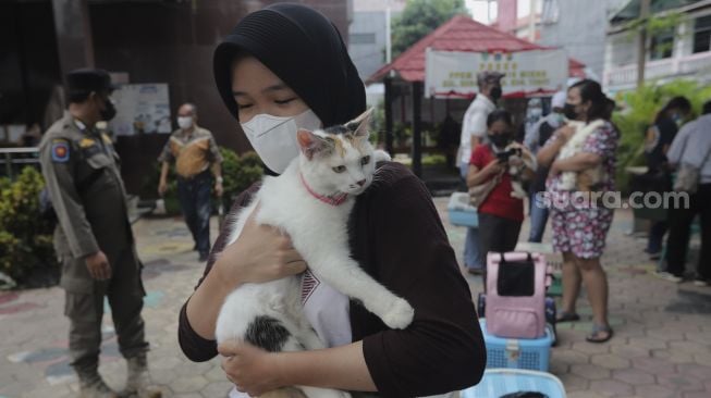 Warga membawa kucing peliharaan usai divaksinasi rabies gratis di halaman Kantor Kelurahan Kebon Baru, Tebet, Jakarta, Selasa (16/11/2021). [Suara.com/Angga Budhiyanto]