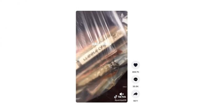 Album Kpop dimakan rayap. [TikTok]