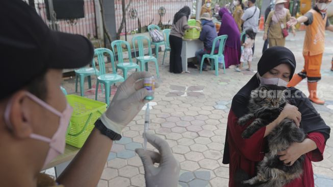 Vaksinator bersiap menyuntikkan vaksin rabies ke kucing di halaman Kantor Kelurahan Kebon Baru, Tebet, Jakarta, Selasa (16/11/2021). [Suara.com/Angga Budhiyanto]