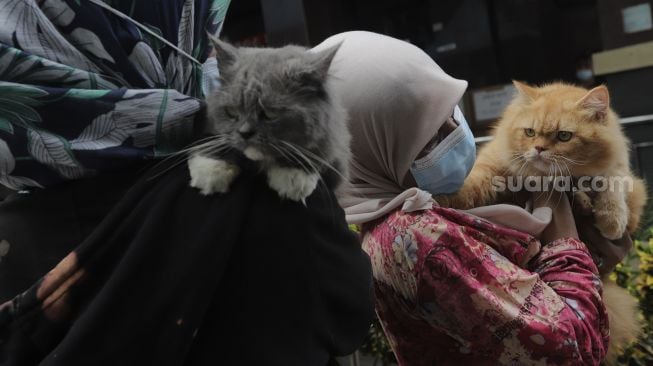 Warga membawa kucing peliharaan usai divaksinasi rabies gratis di halaman Kantor Kelurahan Kebon Baru, Tebet, Jakarta, Selasa (16/11/2021). [Suara.com/Angga Budhiyanto]