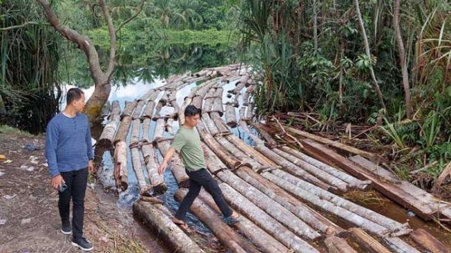 Polisi Ungkap Kasus Illegal Logging 'Anak Jenderal' di Hutan Lindung Riau