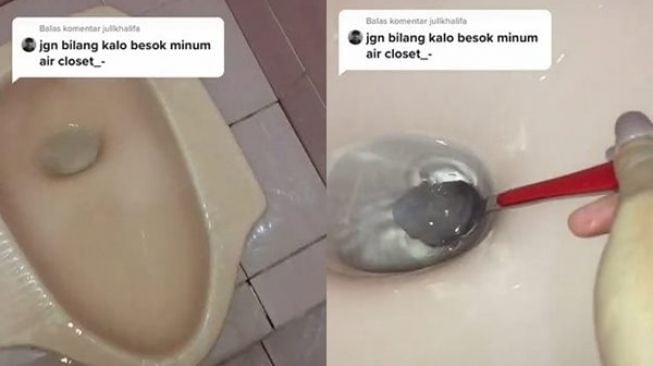 Viral Cewek Ciduk Air Kloset WC Pakai Sendok. (TikTok)