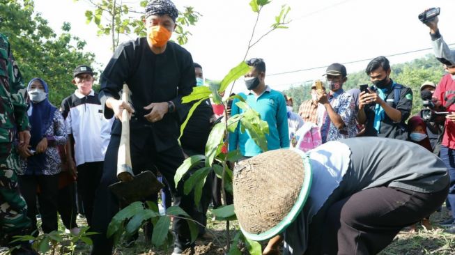 Musim Hujan, Ganjar Pranowo Ajak Masyarakat Jawa Tengah Tanam Pohon