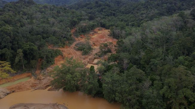 Foto udara kerusakan Lanskap Bukit Bulan akibat aktivitas pertambangan emas ilegal di Desa Lubuk Bedorong, Limun, Sarolangun, Jambi, Kamis (18/11/2021). [ANTARA FOTO/Wahdi Septiawan]