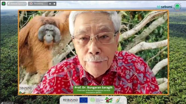 Virtual Tour Keberlanjutan Sawit Berlandaskan RSPO