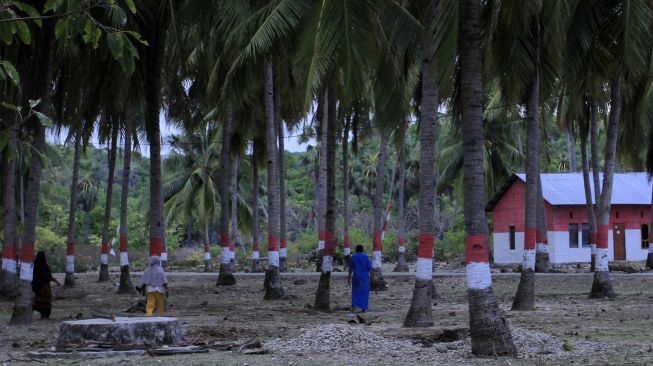 Sejumlah warga berjalan di antara pohon kelapa yang batangnya dicat merah putih di Kampung Merah Putih di Desa Oeseli, Kabupaten Rote Ndao, NTT, Jumat (19/11/2021). [ANTARA FOTO/Kornelis Kaha]