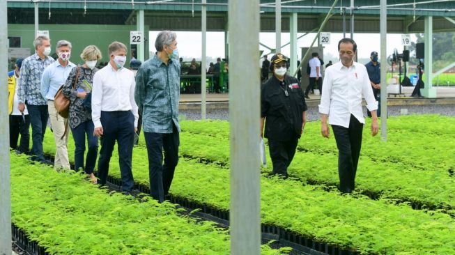 Jokowi Tunjukkan Keseriusan Indonesia Tangani Perubahan Iklim kepada Dubes