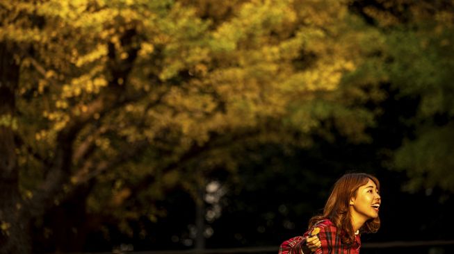 Seorang warga berpose dengan pohon ginkgo dalam warna musim gugur di Taman Luar Kuil Meiji, Tokyo, pada (18/11/2021). [PHILIP FONG / AFP]