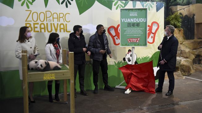 Direktur komunikasi Zooparc Delphine Delord (kiri), pesepakbola Prancis Kylian Mbappe (tengah) mengungkap nama terakhir China dari salah satu dua panda kembar yang lahir pada 2 Agustus lalu saat upacara resmi di Kebun Binatang Beauval, Saint-Aignan-sur-Cher, Prancis, pada (18/11/2021). [GUILLAUME SOUVANT / AFP] 