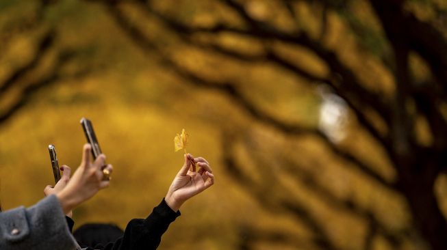 Orang-orang memotret daun ginkgo dalam warna musim gugur di Taman Luar Kuil Meiji, Tokyo, pada (18/11/2021). [PHILIP FONG / AFP]