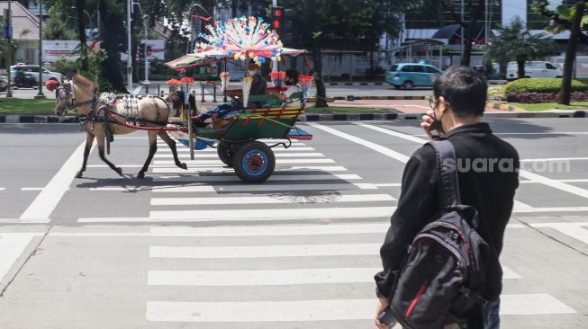 Hore!!! Batal Dilarang, Delman Diizinkan Beroperasi di Monas saat Akhir Pekan