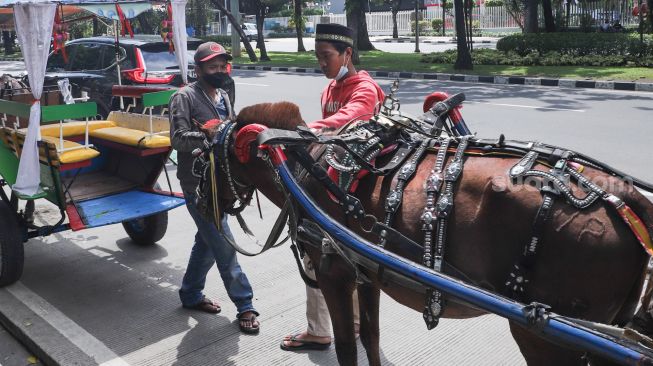 Kusir delman mengecek keadaan kuda saat menunggu wisatawan di Kawasan IRTI Monas, Jakarta Pusat, Minggu (21/11/2021). [Suara.com/Alfian Winanto]