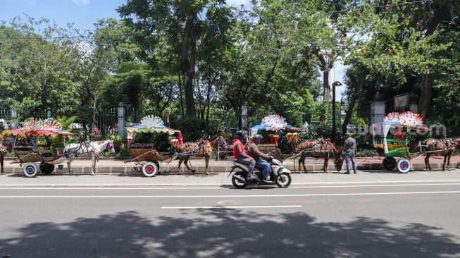 Deretan delman menunggu wisatawan di Kawasan IRTI Monas, Jakarta Pusat, Minggu (21/11/2021). [Suara.com/Alfian Winanto]