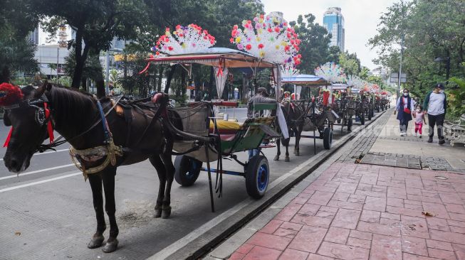 Deretan delman menunggu wisatawan di Kawasan IRTI Monas, Jakarta Pusat, Minggu (21/11/2021). [Suara.com/Alfian Winanto]