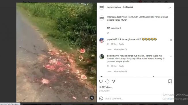 Heboh, Petani Semangka Marah dan Banting Jualan Hingga Hancur, Diduga Karena Hal Ini