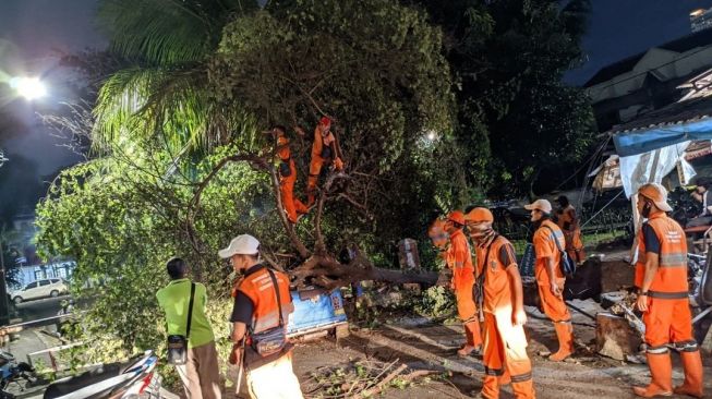 BMKG Jelaskan Angin Kencang di Jakarta Kemarin, Sebut-sebut Siklon Paddy