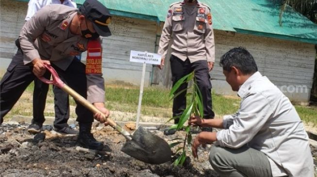 PT SPN Tanam Eboni, Pohon Penghasil Kayu Hitam Khas Sulawesi